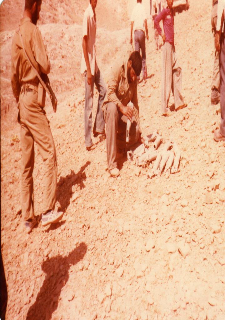 فاقد تصویر